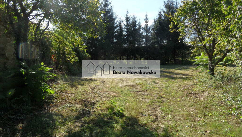 Dom Sprzedaż Orkowo